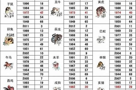 92 年生肖|1992 年出生属什么生肖